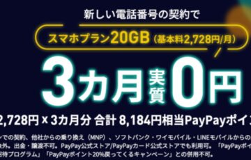 LINEMO_FEVERTIME_20230612